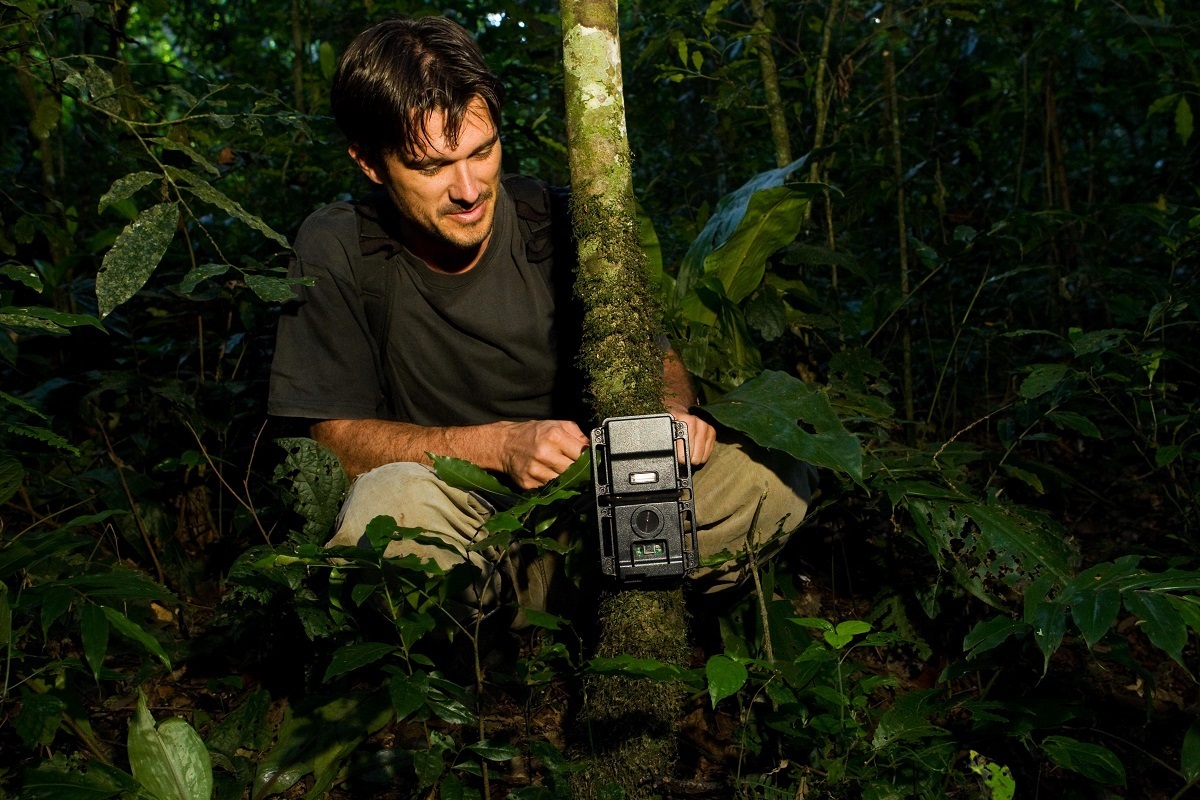 <span style="font-weight: bold;">Kibale National Park (Uganda)</span><br>