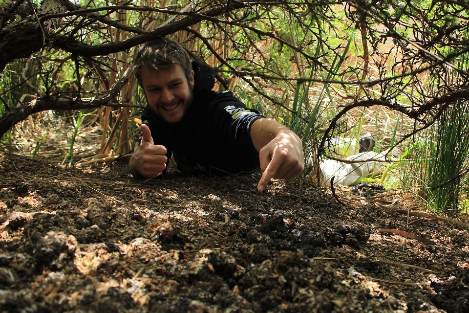 <span style="font-weight: bold;">The southern coastline and the greater Dullstroom area (South Africa)</span><br>