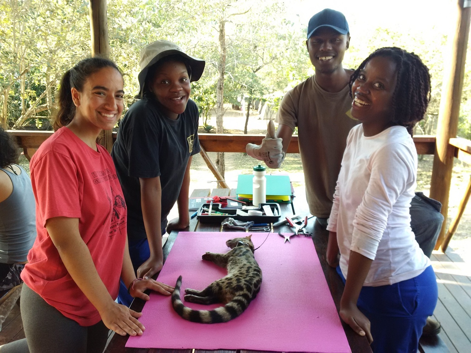 <span style="font-weight: bold;">Mbuluzi Game Reserve (Swaziland)</span>