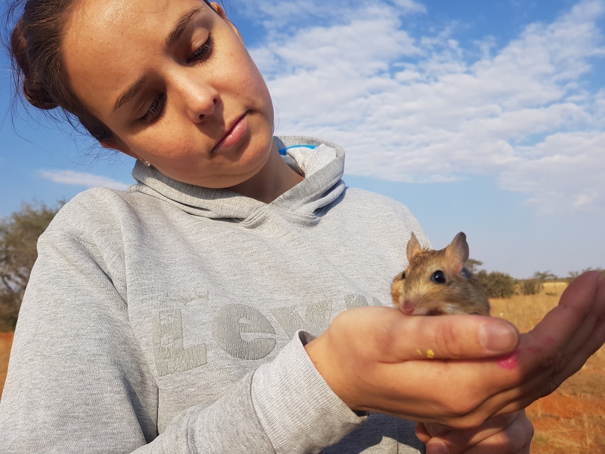 <span style="font-weight: bold;">Tswalu Kalahari Reserve (South Africa)</span><br>