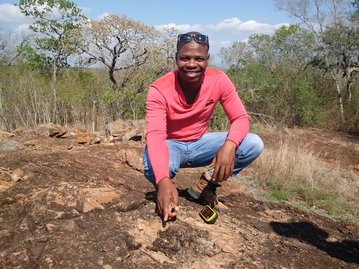 <span style="font-weight: bold;">South Africa and Swaziland</span><br>