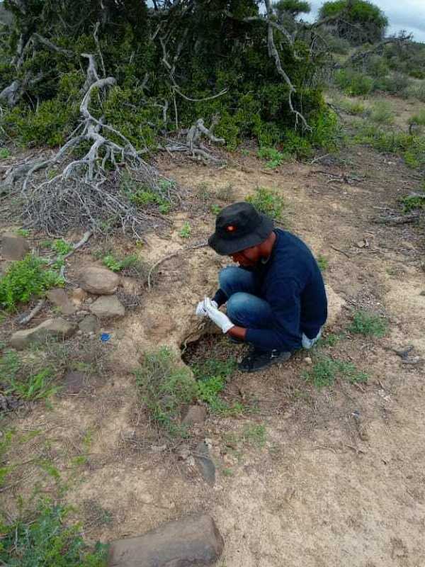 <span style="font-weight: bold;">South Africa and Swaziland</span><br>