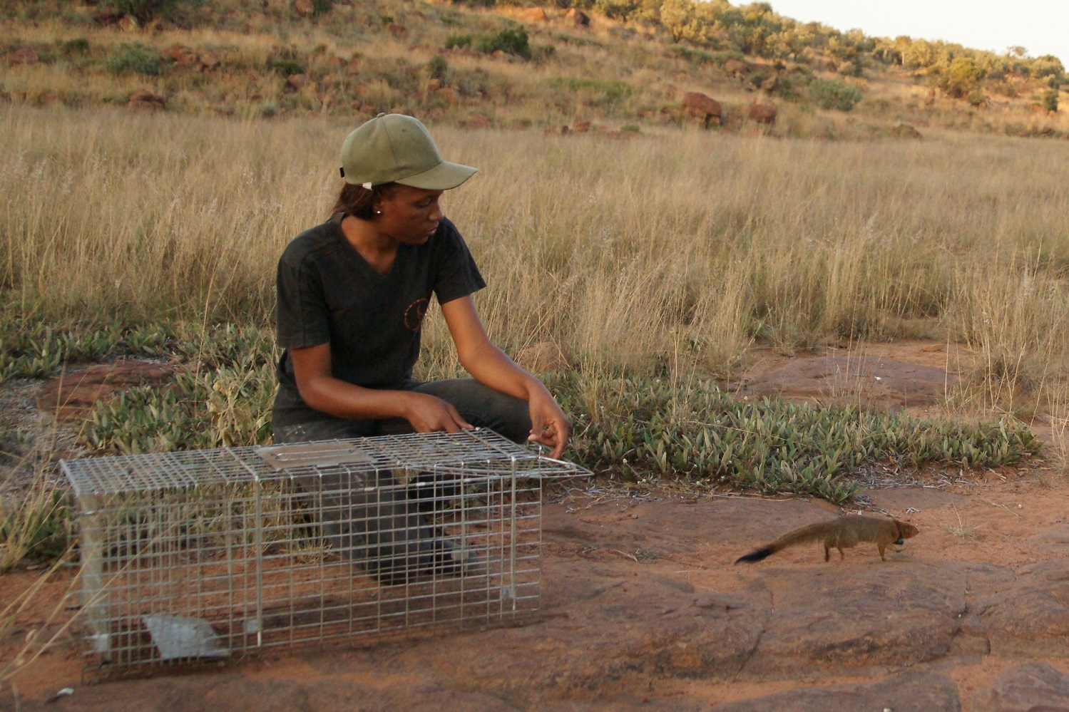 <span style="font-weight: bold;">Telperion Nature Reserve (South Africa)</span>