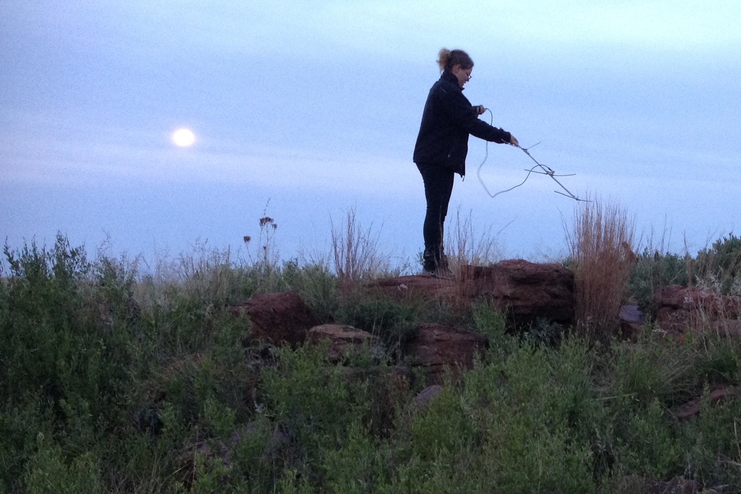 <span style="font-weight: bold;">Telperion Nature Reserve (South Africa)</span>