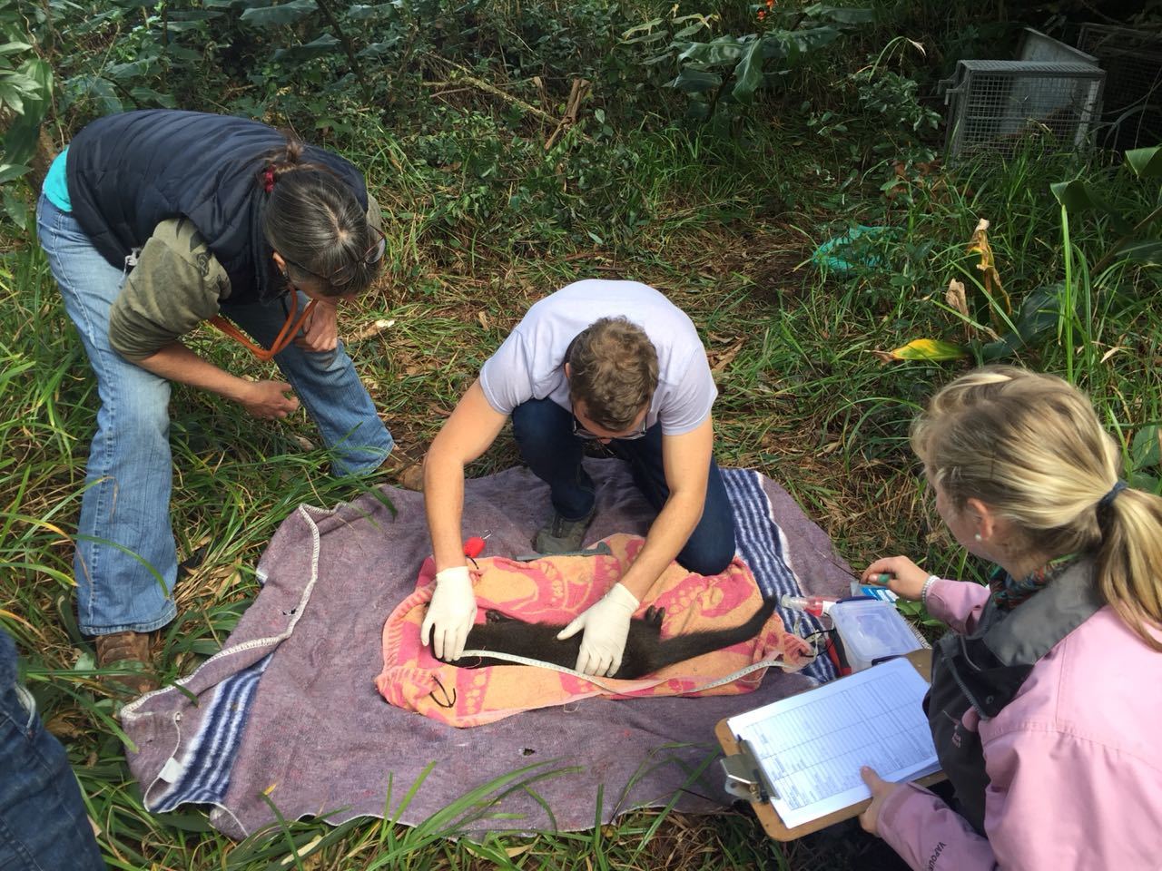 <span style="font-weight: bold;">KwaZulu-Natal (South Africa)</span>