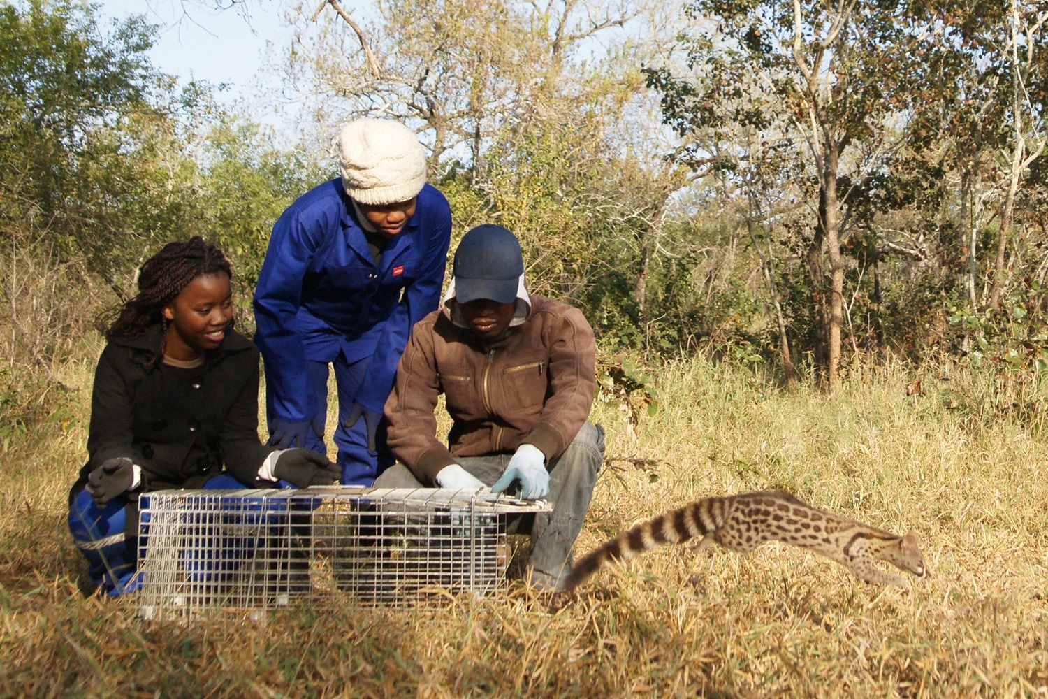 <span style="font-weight: bold;">Mbuluzi Game Reserve (Swaziland)</span>