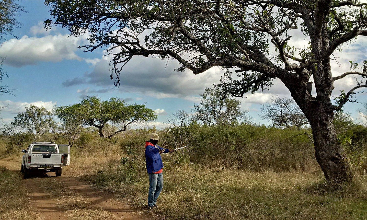 <span style="font-weight: bold;">Mbuluzi Game Reserve (Swaziland)</span>